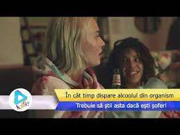 Un litru de vin se elimină. In Cat Timp Iese Alcoolul Din Sange Trebuie Sa Sti Asta Daca Esti Sofer Youtube