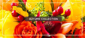 Maybe you would like to learn more about one of these? San Jose Ca Florists Flowers San Jose Ca Adorable Flowers Inc