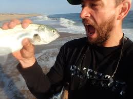 OBX Surf Fishing