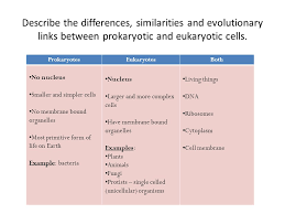 We did not find results for: Cell Structure And Function Eukaryotic Cell Structure What Are The Major Cell Structures What Are Their Functions Ppt Download