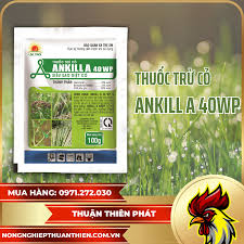 Ankill A 40WP