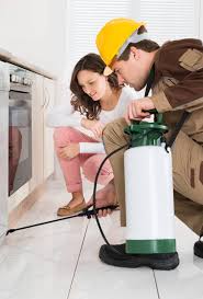 Exterminator near me contact us at patriot pest control contact us today for a complete pest inspection of your home to determine the best plan of action. 24 7 Pest Control Nyc 1 Nyc Exterminators Best Nyc 247 Pest Control Near Me Search Nyc Pest Exterminators Near Me Best Pest Control In Nyc 247 Nyc Pest