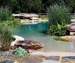Landscaping Trends You Must Have Natural Swimming Ponds Backyard Beach Small Pool Design