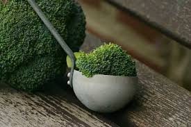 E' spesso consigliata a chi soffre di ipotensione perché succhiare il bastoncino di liquirizia ha subito effetti positivi sulla pressione che tenderà a salire. Alimenti Che Abbassano La Pressione Idee Green