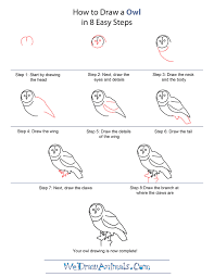 How To Draw An Owl Owls Drawing Bird Drawings Drawings