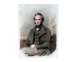 Image result for teori darwin