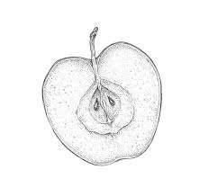 Check spelling or type a new query. How To Draw An Apple
