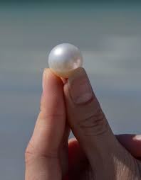 What Are Pearls? | Where Do They Come From | Cygnet Bay Pearl Farm