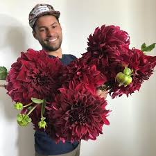 Our products have been in the market for over 20 years, and are well known throughout the entire world, while most of our sales are in the usa, we also have distributions in canada, mexico, bahamas, puerto rico, turks islands, portugal, spain, france, england, germany, italy, israel, and south africa. Spartacus Flower Hats Dahlia Pretty