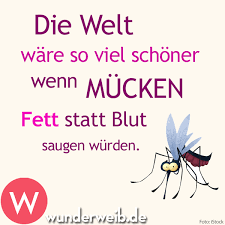 Spruch Des Tages Unsere Highlights Von Facebook Lustige Spruche Coole Spruche Spruche