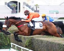 Image de Galop de chasse cheval