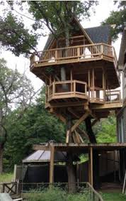 Pin By Nancy Ford On Tree Houses Tree House Tree House Designs Cool Tree Houses