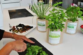 El jardinero conocía perfectamente al frutero, pues a él le vendía, por cuenta del propietario, el sobrante de fruta que la finca producía. Regalos Jardineros Kits De Cultivo En Casa