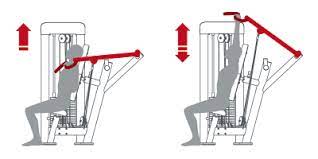 Check spelling or type a new query. Deltoid Press Convergent