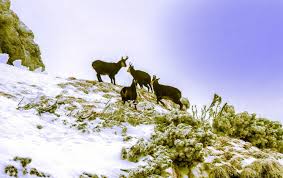 Angajări La Agenția Națională Pentru Arii Naturale Protejate Dcnews