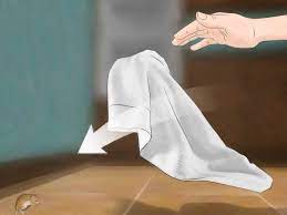 We did not find results for: 3 Ways To Get Rid Of Mice Naturally Wikihow