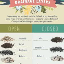 Drainage Layers For Open Vs Closed Terrariums In 2020 Open Terrariums Terrarium Plants
