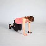 image of Bird dog exercise