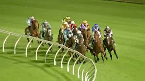 Magic Millions Sunlight 2025