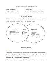 Animal cell and plant cell experiment. Lab Report For Investigating Plant And Animal Cells Docx Lab Report For Investigating Plant And Animal Cells Name Fatiah Alatishe Lab Date 20 October Course Hero