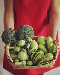 Hilda Vidal (@soy_hilda_vp) • Instagram photos and videos