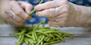 Kentucky wonder pole beans in containers. How To Cook String Beans Southern Living