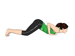 Eight Limb Yoga Pose Forte Yoga Yoga Information Yoga Poses Ashtanga Yoga