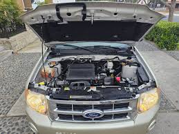 Image result for Gold Leaf 2012 Escape