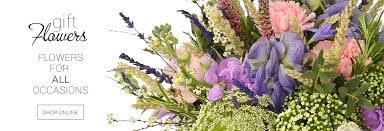 We did not find results for: Home Page Maisies Daisies Your Local Florist Delivering Flowers In Brora And The Surrounding Areas 01408 622754