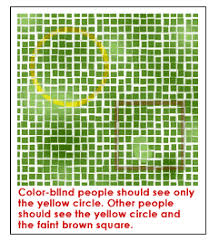 Partially sighted people can now perform various tasks on their own to increase their daily independance. Color Blindness Factsheet For Schools For Parents Nemours Kidshealth