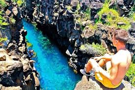 Look forward to the new album out later in 2021! Bay Tour In Santa Cruz Galapagos Islands 2021