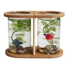 Rotatable Betta Fish Bowls Segarty Cool Design Small Aqu Https Www Amazon Com Dp B01n1w2wf1 Ref Cm Sw R Pi Betta Fish Bowl Glass Fish Tanks Diy Fish Tank