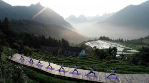 The right morning yoga routine will increase your flexibility, range of motion, and build strength to prep your body for an optimal day, says anthony chavez, director of personal. Mountainside Yoga World Cup Soccer Goal Cuckoo Chicks World In Photos June 20 Video Abc News