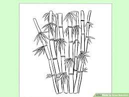 Related Image Bamboo Drawing Tree Drawings Pencil Bamboo Art