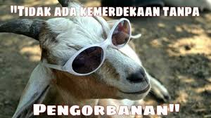 We did not find results for: Sambut Idul Adha Ini 12 Meme Hewan Kurban Untuk Menghibur Kamu Awas Bikin Ngakak