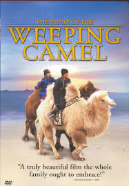 (il est plus facile pour un chameau, 2004). The Story Of The Weeping Camel Movie Review 2004 Roger Ebert