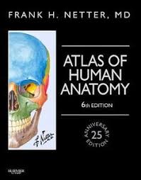 Download The Book Netters Atlas Of Human Anatomy 6th Edition Pdf For Free Preface The 25th Anniversary Edition Of Frank Human Anatomy Atlas Anatomy Anatomy