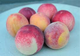 We did not find results for: Farm Fresh Peaches Frozen To Perfection A Way To Garden
