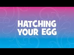 what are hatchimals how do they work and where can you find t