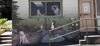 How to contact animal farm pet hospital san francisco? Veterinarian And Animal Hospital In Oakland Ca Thornhill Pet Hospital