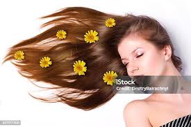 Frau Blumen Im Haar Locken Schönheit Modell Floral Frisur Mädchen Geruch Daisy  Blume Grünen Stoff Fliegen Stockfoto und mehr Bilder von Attraktive Frau