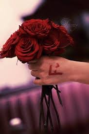 farha noor beautiful flowers wallpapers s love images good morning beautiful flowers