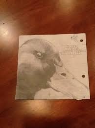 Now draw and darken the two eyeballs. Realistic Duck Drawing By Badcheshirecat On Deviantart