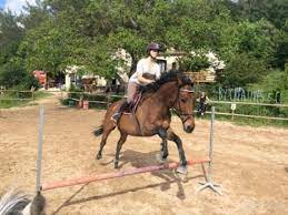 Tout est dans le mental! Saut D Obstacle Les Chevaux De L Emotion Youtube