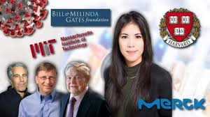 Matthias leiendecker, deutschland, rwth aachen, mit seiner präsentation „breaking the wall of personalized cancer therapy. Mailab Bitchute