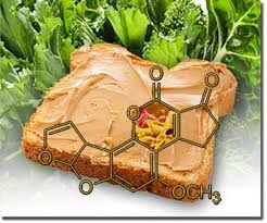 Berg keto consultant today and get the help you need on your journey. Eat Your Greens They Can Prevent The Ill Effects Of Toxins In Foods