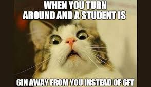 Since widespread distance learning took effect in march, teachers have been embracing the humor in their teachers and parents are coping with 'distance learning' by making memes, tiktoks, and. Back To School Memes For 2021