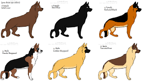 Dog Lovers In Kenya Home Facebook