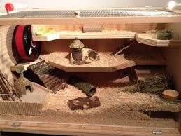 Your hamster will find this fun and interesting if they love to get their treats out of a toy. Build Your Own Hamster Cage Photo Guide Hamster Diy Cage Hamster Cage Hamster House
