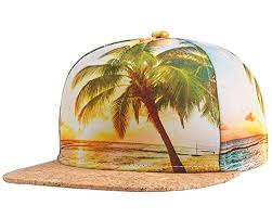 Pour vous tenir au courant des toutes dernières actualités, mises à jour, exclusivités, promos, tout sur free. Unisex 3d Hawaiian Coconut Tree Canvas Flat Panel Wood Brim Snapback Cap Hat Coconut Rree Dusk One Size Buy Online In Mongolia At Mongolia Desertcart Com Productid 35111899